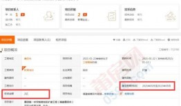 最新爆料出炉,最新爆料事件背后的惊人真相