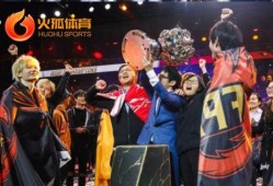 世界冠军最新爆料,巅峰背后的不为人知故事