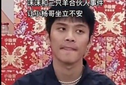 辛巴爆料三只羊最新视频,三只羊最新视频背后的惊人真相