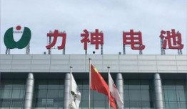 天津特斯拉最新爆料消息,神秘新项目曝光，未来布局再升级