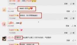 小瓜最新爆料视频大全集,揭秘娱乐圈幕后真相